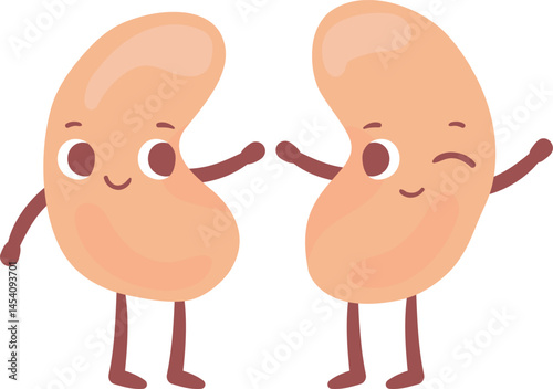 Two cheerful kidneys with arms and legs exchanging high fives, celebrating kidney health and emphasizing the importance of disease prevention and wellness awareness
