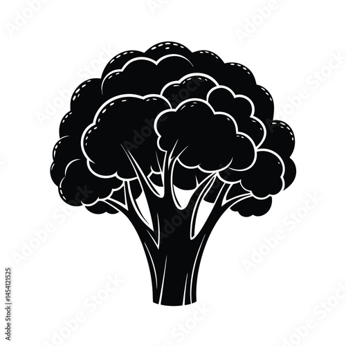 broccoli on white background