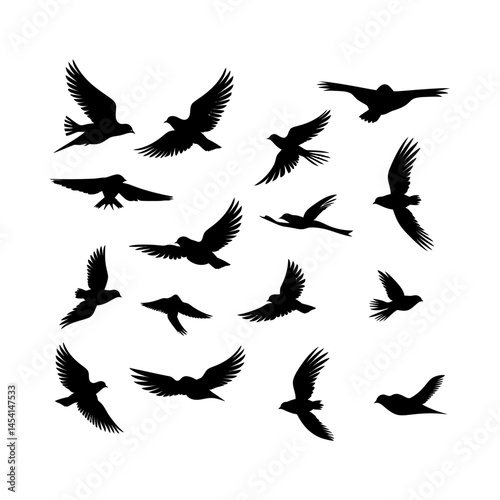 Flying Bird Silhouette in Full Spread Set