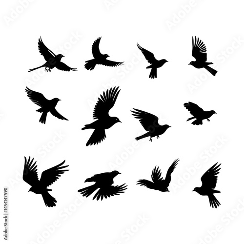 Flying Bird Silhouette in Full Spread Set