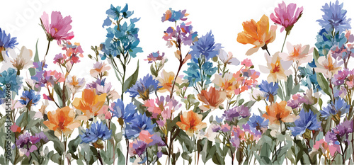 Close up background flowers element
