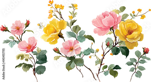 Watercolor floral illustration set Flowers watercolor 