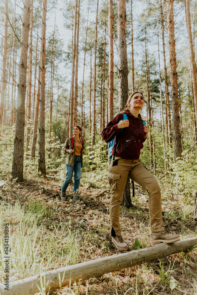 Hikers explore a sunlit forest trail surrounded by towering trees on a vibrant autumn morning