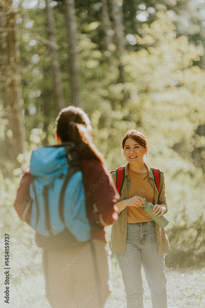 Two friends enjoying a bright hike through the serene woods on a sunny day filled with laughter and nature’s beauty