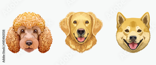 Set of Three Dog Face Illustrations, Poodle, Retriever, and Shiba inu.  Stylized Pet Portraits Featuring Curly, Floppy, and Pointed Cute Ears Designs