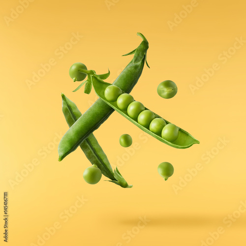 Quadro su tela Fresh green rosemary herb falling in the air isolates on yellow background