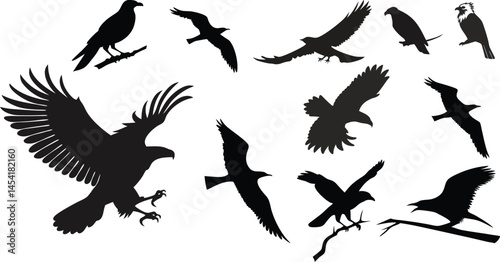 set of silhouettes of different birds black art
