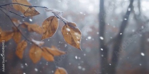 Obraz na płótnie Rain gently falling on autumn leaves and tree branches. Beautiful nature scene with snow falling during the fall season. w salonie