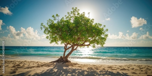 Shady Grenadian Tree at Magazine Beach, Caribbean Paradise