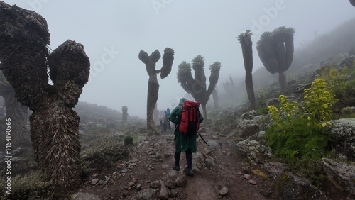 The landscape of Mount Kilimanjaro in Tanzania