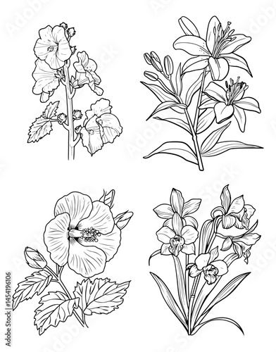 Floral Quartet A botanical display of four distinct flower varieties