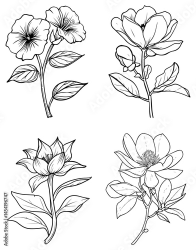 Floral quartet Line art blossoms in detailed monochrome