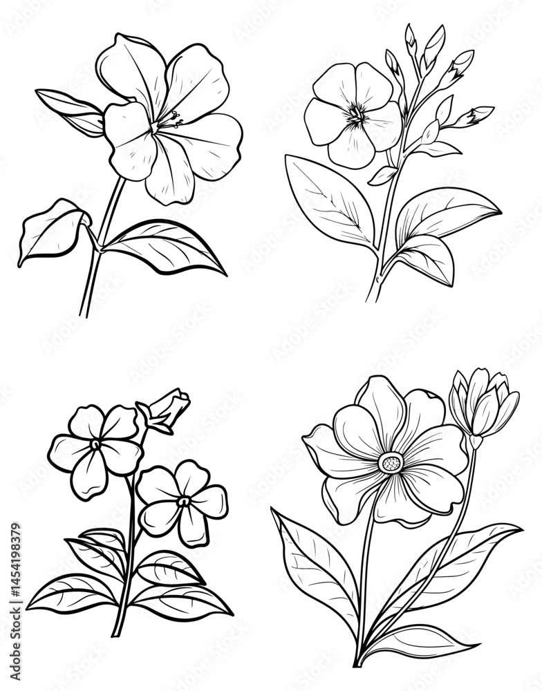 Four unique flower illustrations on a plain backdrop with detailed line work and subtle shading Four unique flower illustrations on a plain backdrop with detailed line work and subtle shading