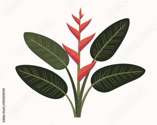 Heliconia Flower Plant Tropical Floral Illustration Isolated