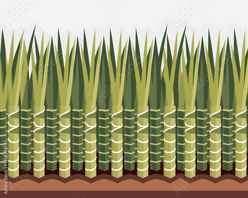 Illustration of sugar cane plants growing in field