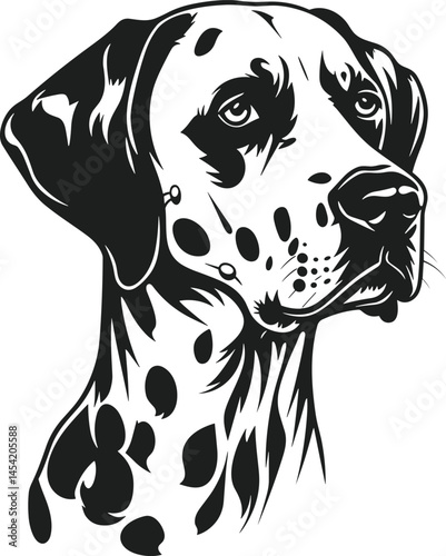 Black and white dalmatian dog portrait, a wild canine silhouette