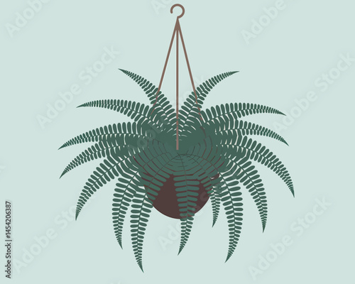 Hanging Fern Plant in Pot Green Indoor Decoration