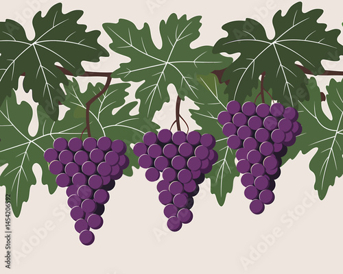 Vector Drawing of Ripe Grapes with Green Leaves Illustration