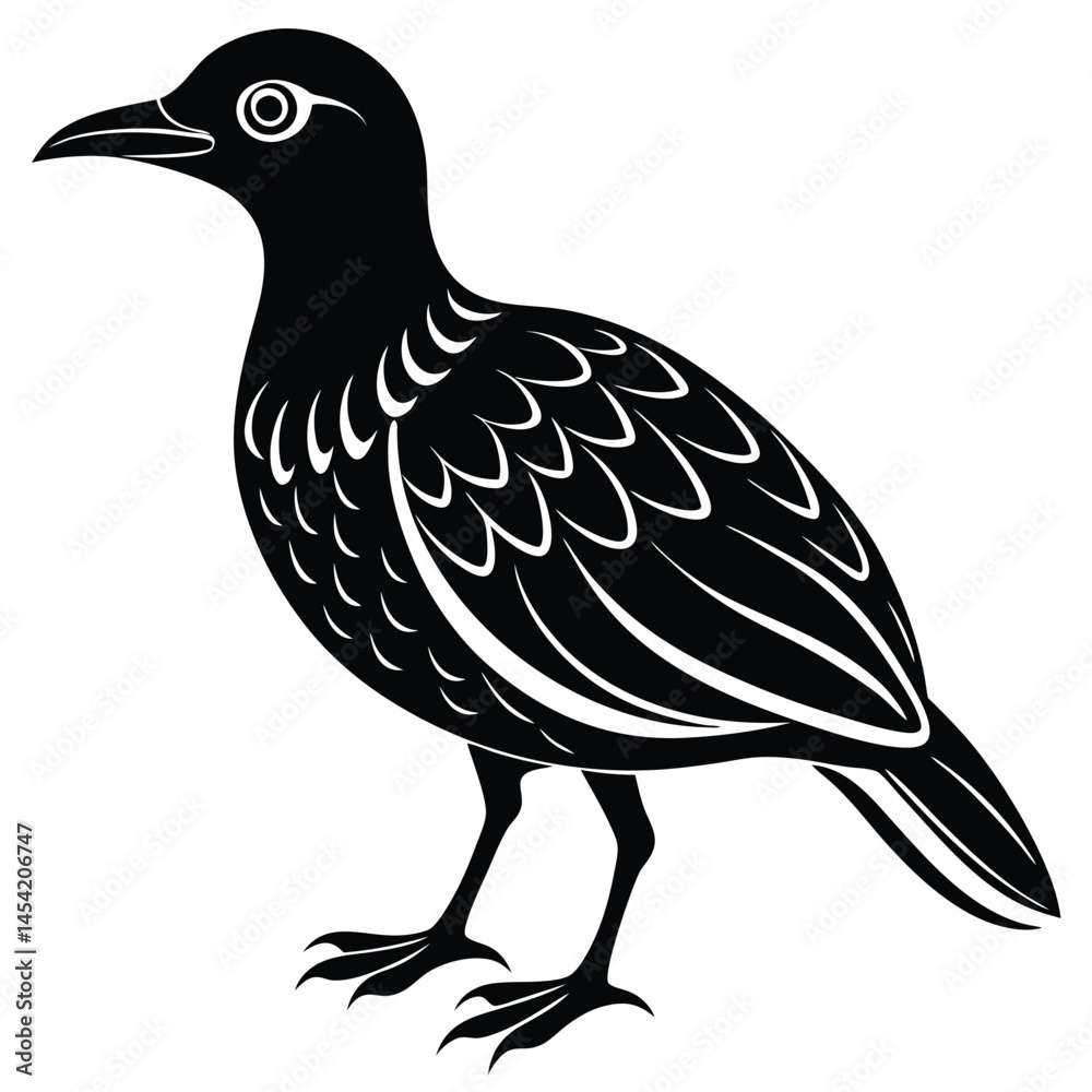 Fototapeta premium A oilbird-vector-style-illustration 