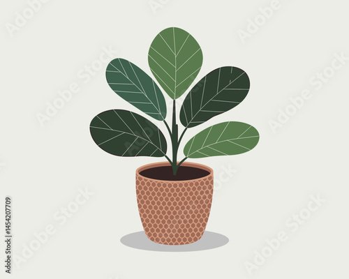 Fiddle Leaf Fig Plant In Woven Pot Illustration