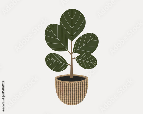 Indoor Fiddle Leaf Fig Plant in Basket Illustration