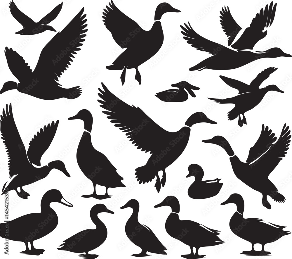 Fototapeta premium Silhouette Ducks Clipart – Flying & Standing Duck Vector Graphics