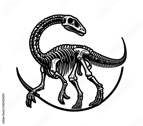 Diplodocus Dinosaur Skeleton White Background Logotype