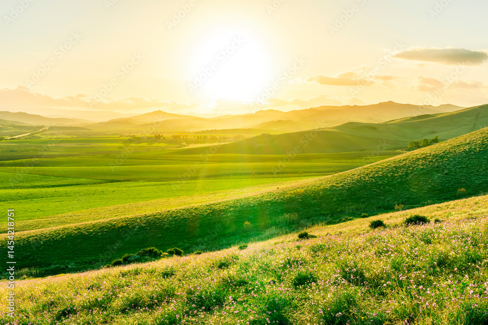 Obraz premium panoramic spring season landscape of beautiful greel field with yellow and salad hills and mountains in countryside