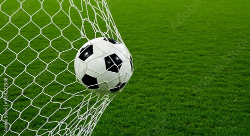 Soccer Ball in Goal Net, Goal
