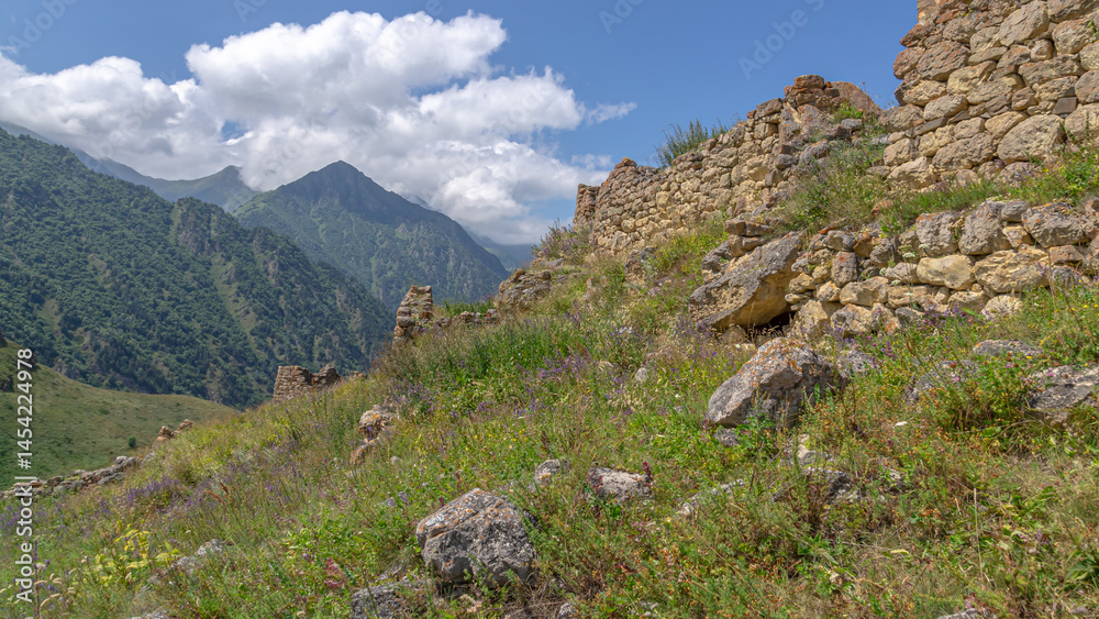 Obraz premium Flowers are blooming on the ruins of an ancient city in the mountains. Nature in the mountains in summer. Stone blocks of buildings of the ancient city.