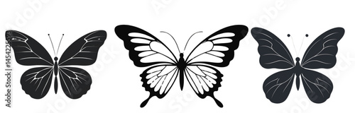 Three butterflies displayed with differing designs on a white backdrop