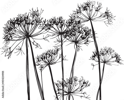 silhouettes of dill line art