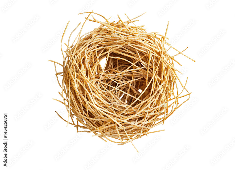Pasta nest isolated Pasta nest isolated