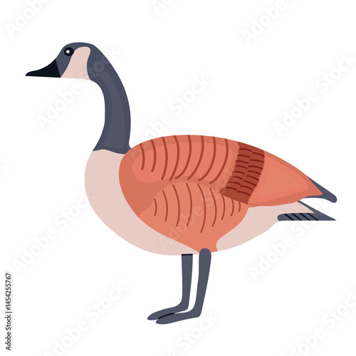 Сanada goose clipart avatar logotype isolated illustration