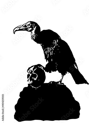 silhouette of a vulture