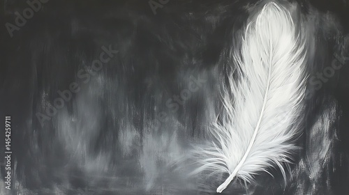 Monochromatic Dreamscape: A Study of Texture and Light with Feather Element