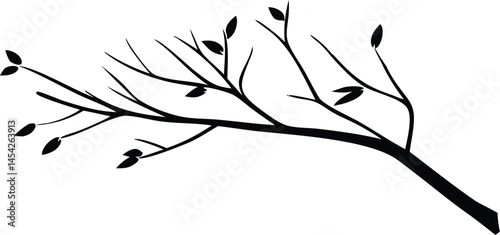 branch of a tree with leaves vector art