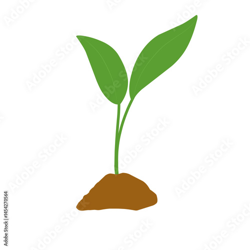 Illustration of a newly grown shoot plant. Illustration of a shoot plant with fertile soil
