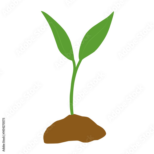 Illustration of a newly grown shoot plant. Illustration of a shoot plant with fertile soil
