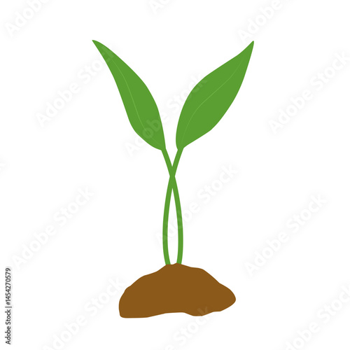 Illustration of a newly grown shoot plant. Illustration of a shoot plant with fertile soil
