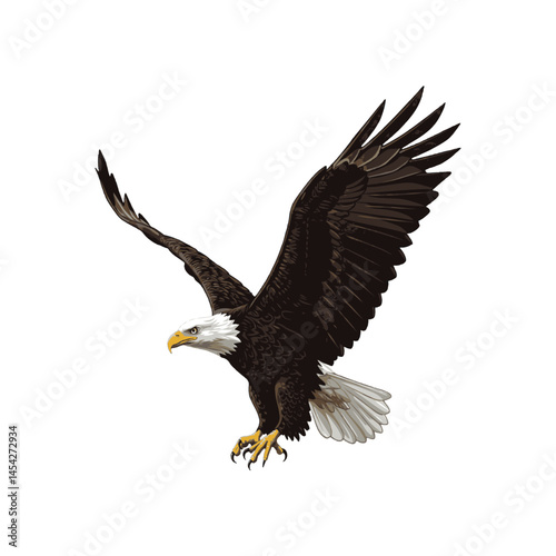 Bald Eagle in Flight – Realistic Vector Bird Art