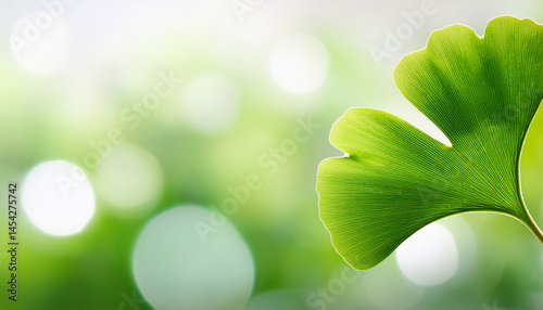 Green ginkgo leaves Generated image