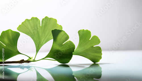 Green ginkgo leaves Generated image