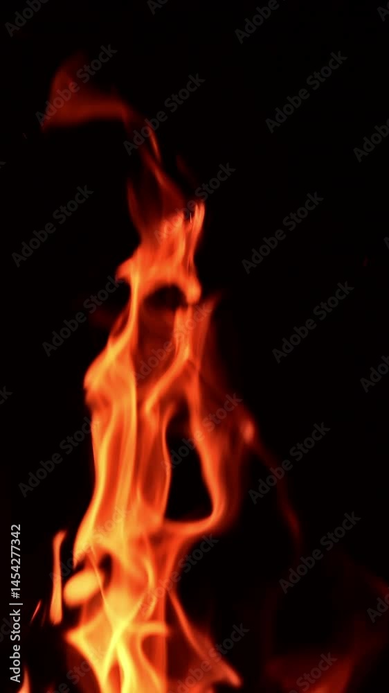 Tongues of orange flame rising up high. Tiny glaring sparkles fly up from bonfire. Black backdrop. Vertical video Tongues of orange flame rising up high. Tiny glaring sparkles fly up from bonfire. Black backdrop. Vertical video