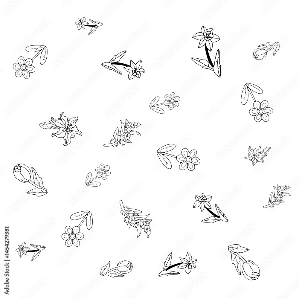 Obraz premium Flower Set Pattern Line Art 