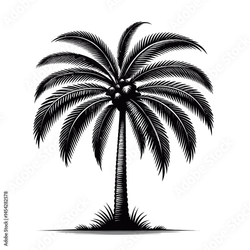 Palm tree silhouette vector 