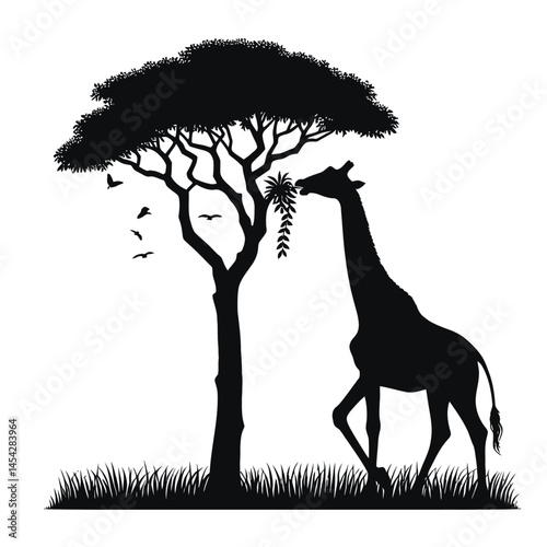 Giraffe Eating Leaves Tree Silhouette Zoo Vector