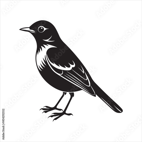 american robin silhouette black vector