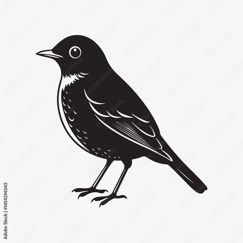 Obraz premium american robin silhouette black vector
