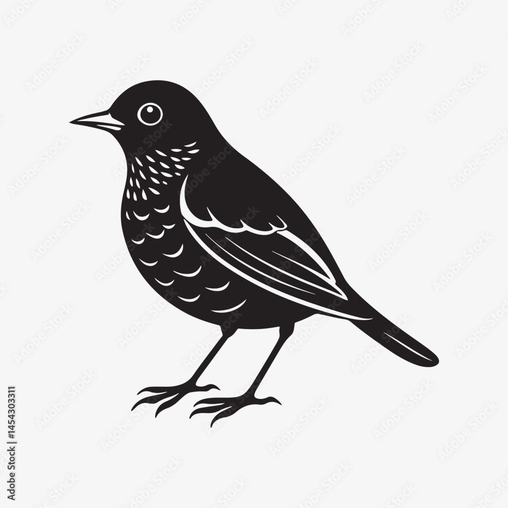 Fototapeta premium american robin silhouette black vector